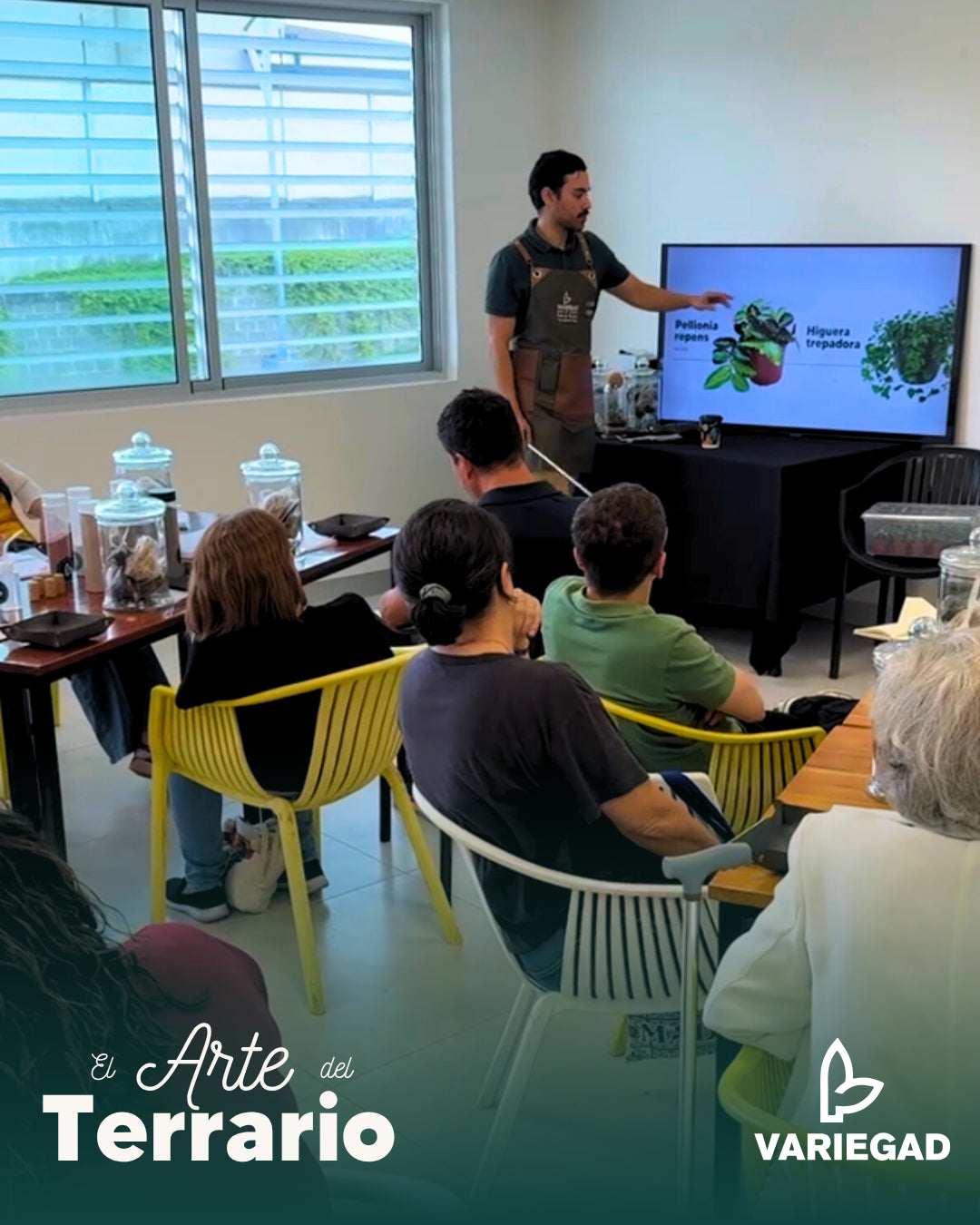 Taller - Curridabat - VÃa Guayabos - Sábado 15 / Sábado 22 de Noviembre