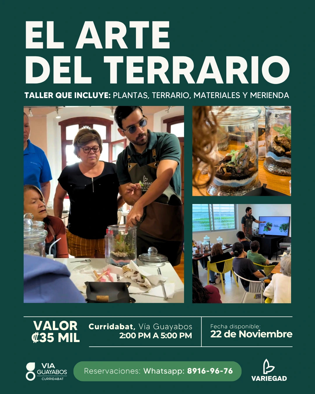 Taller - Curridabat - VÃa Guayabos - Sábado 15 / Sábado 22 de Noviembre