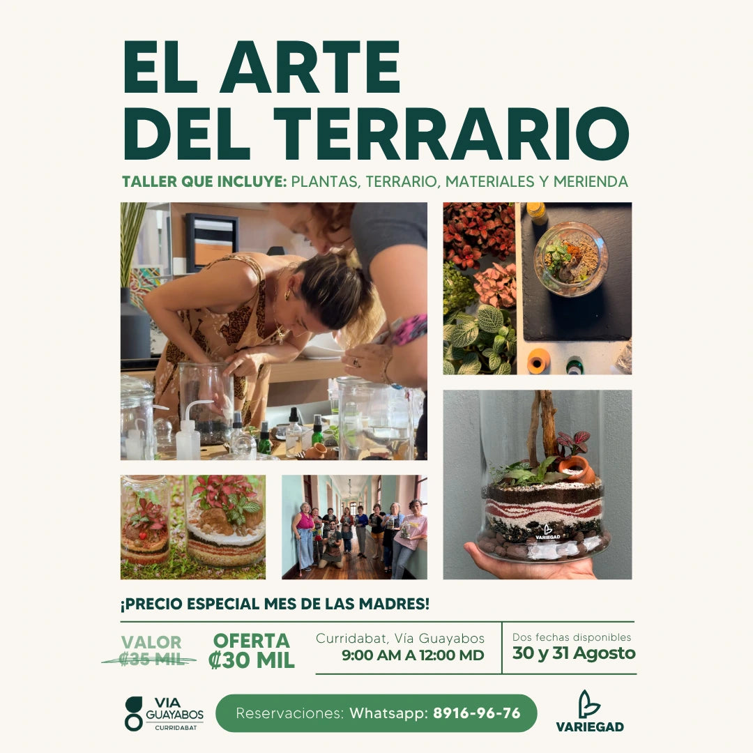 Taller - Curridabat - Vía Guayabos - Sábado 30 / Domingo 31 Agosto