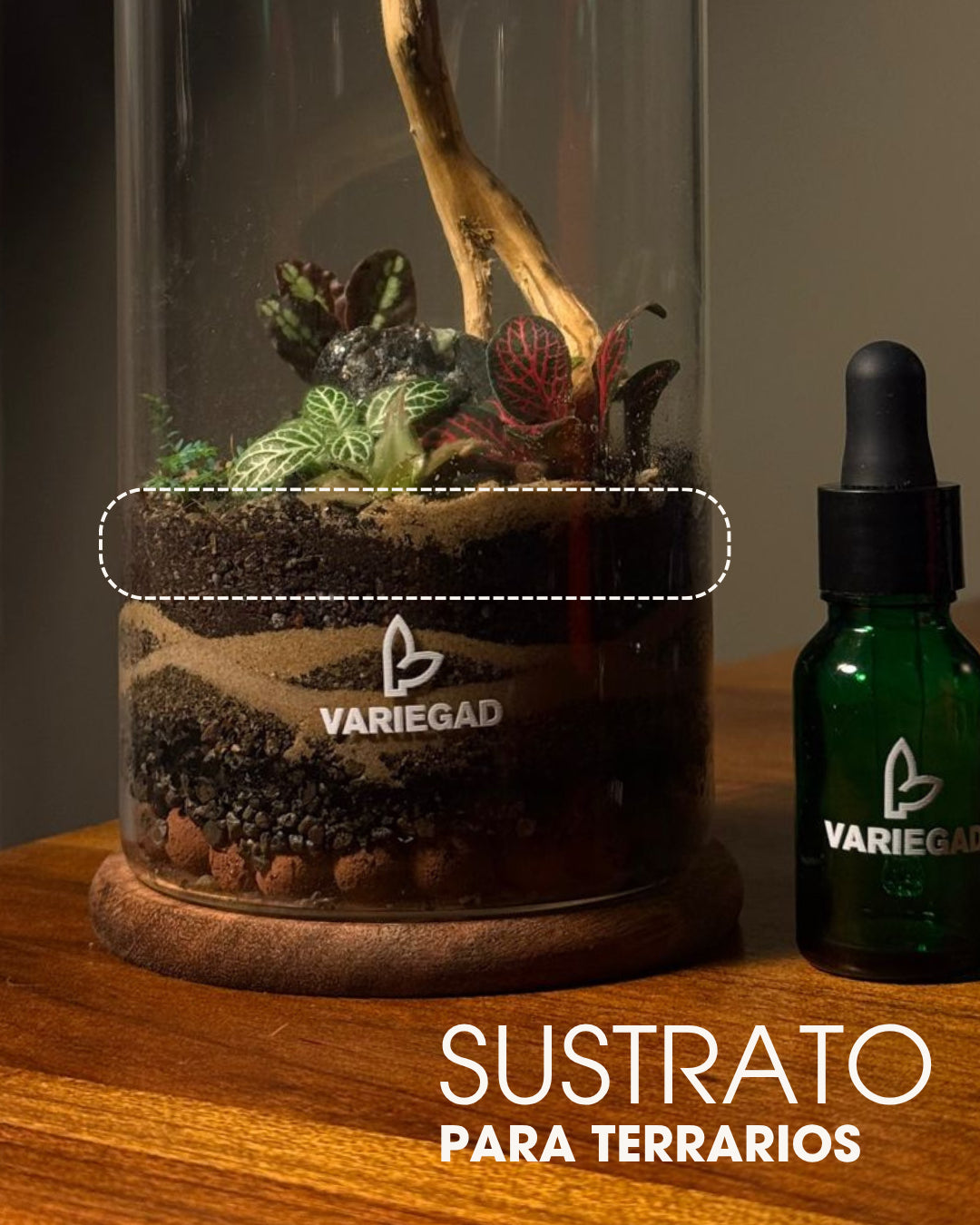 Sustrato para Terrarios Tropicales