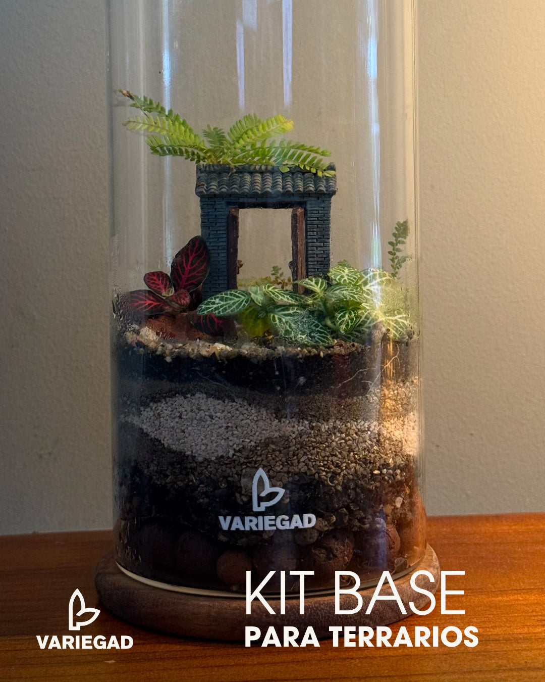 Kit Sustrato para Terrarios