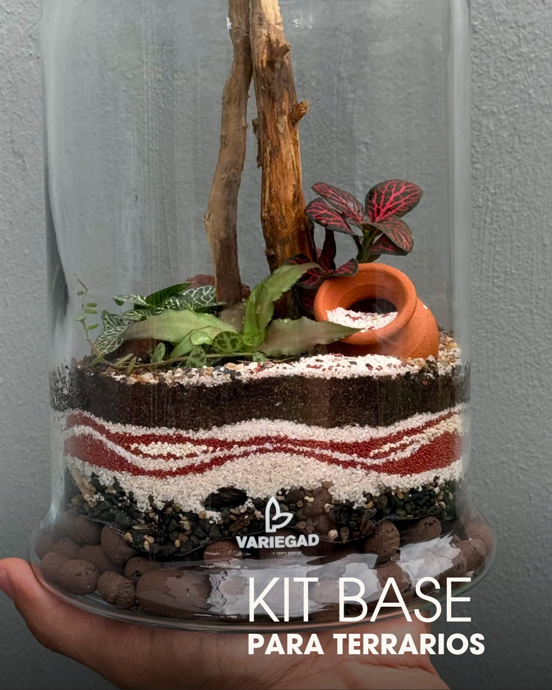 Kit Sustrato para Terrarios