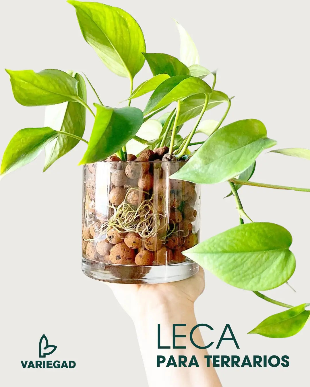 Leca - Arlita - Arcilla Expandida