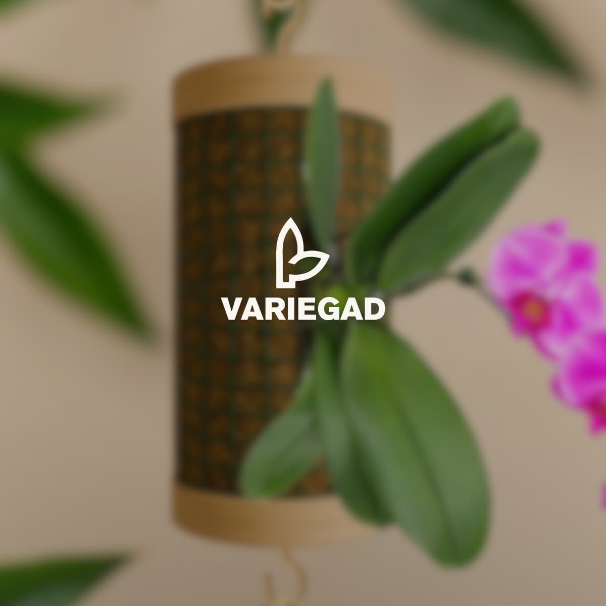 Soporte para Orquideas