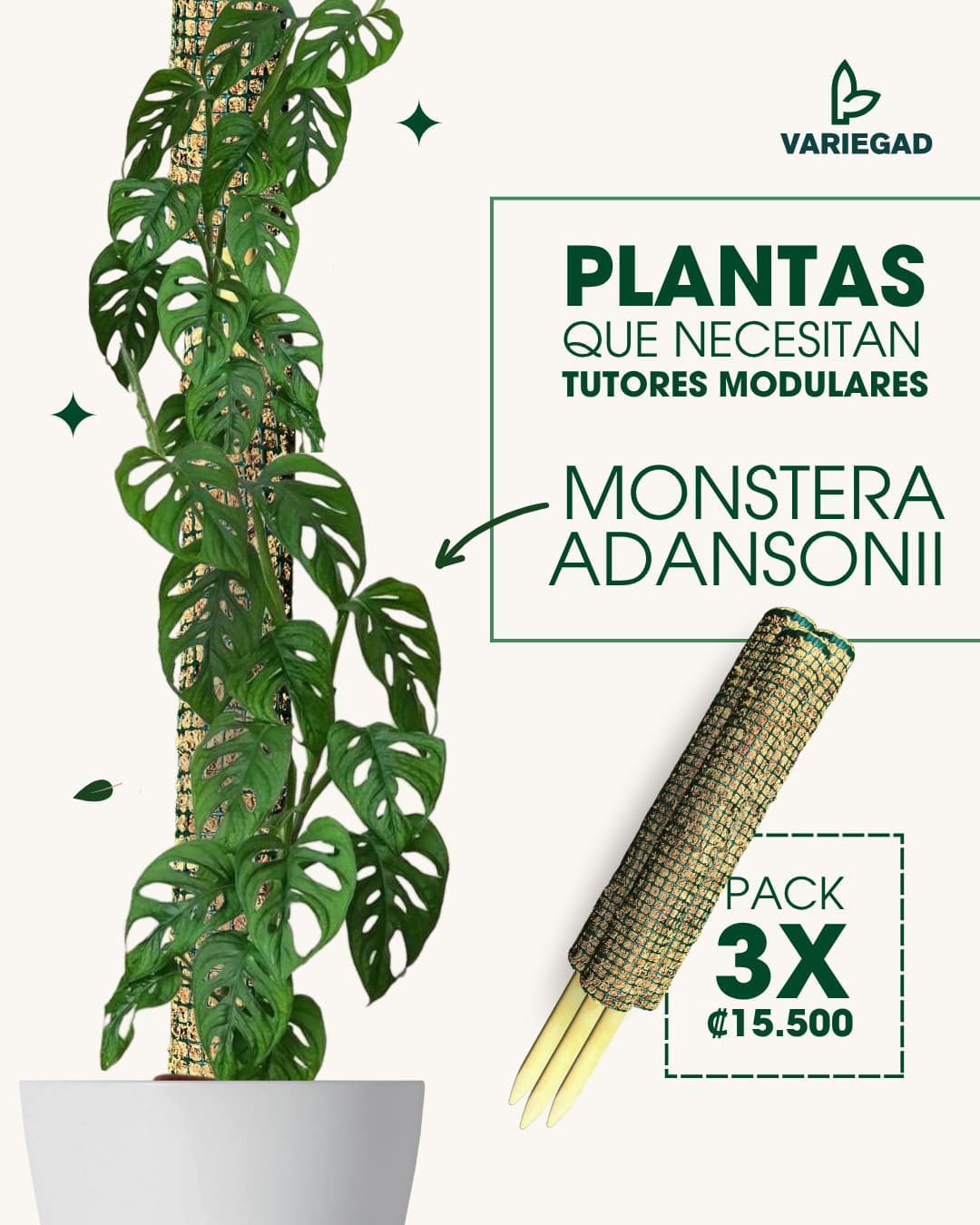 Tutores Modulares