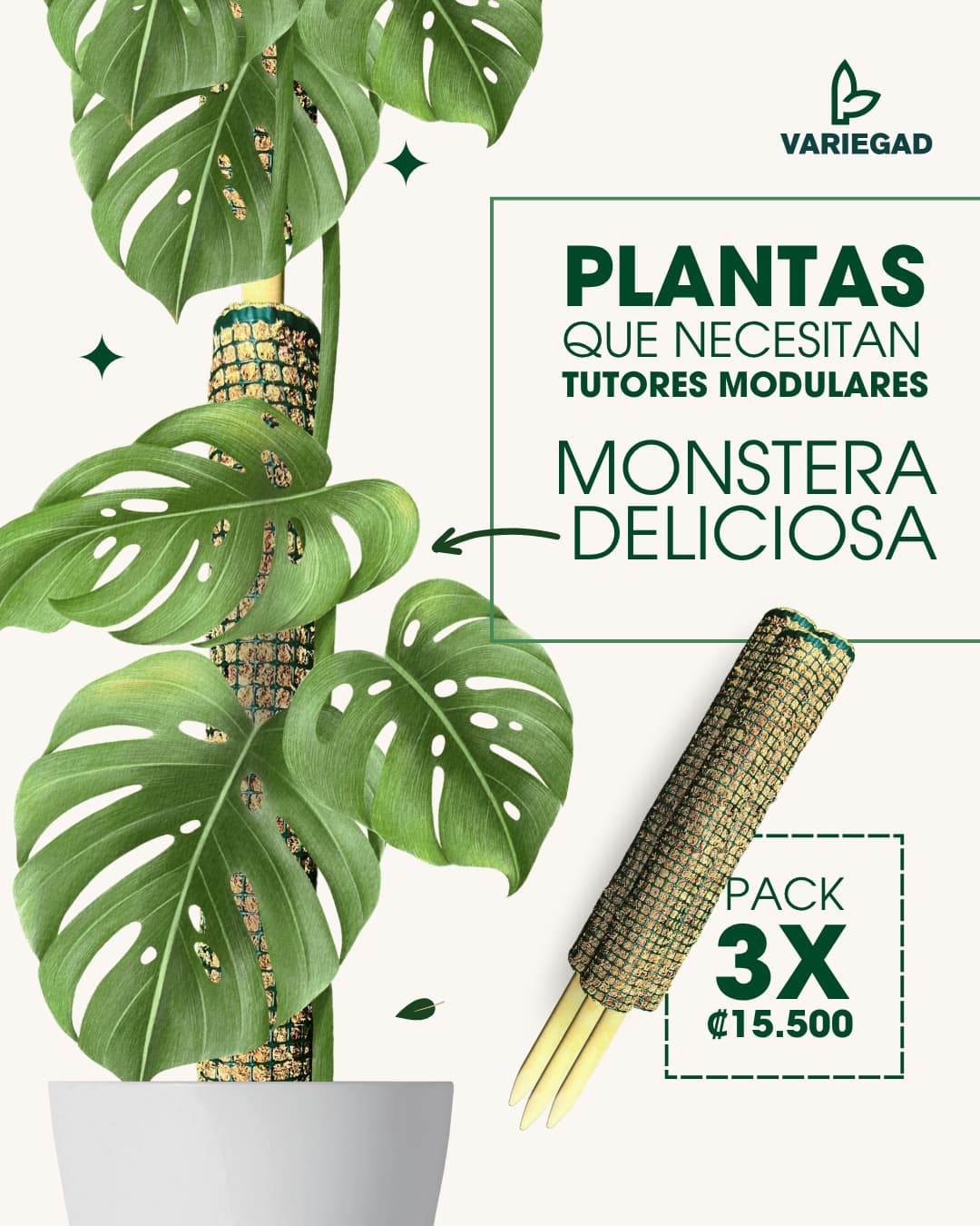 Tutores Modulares