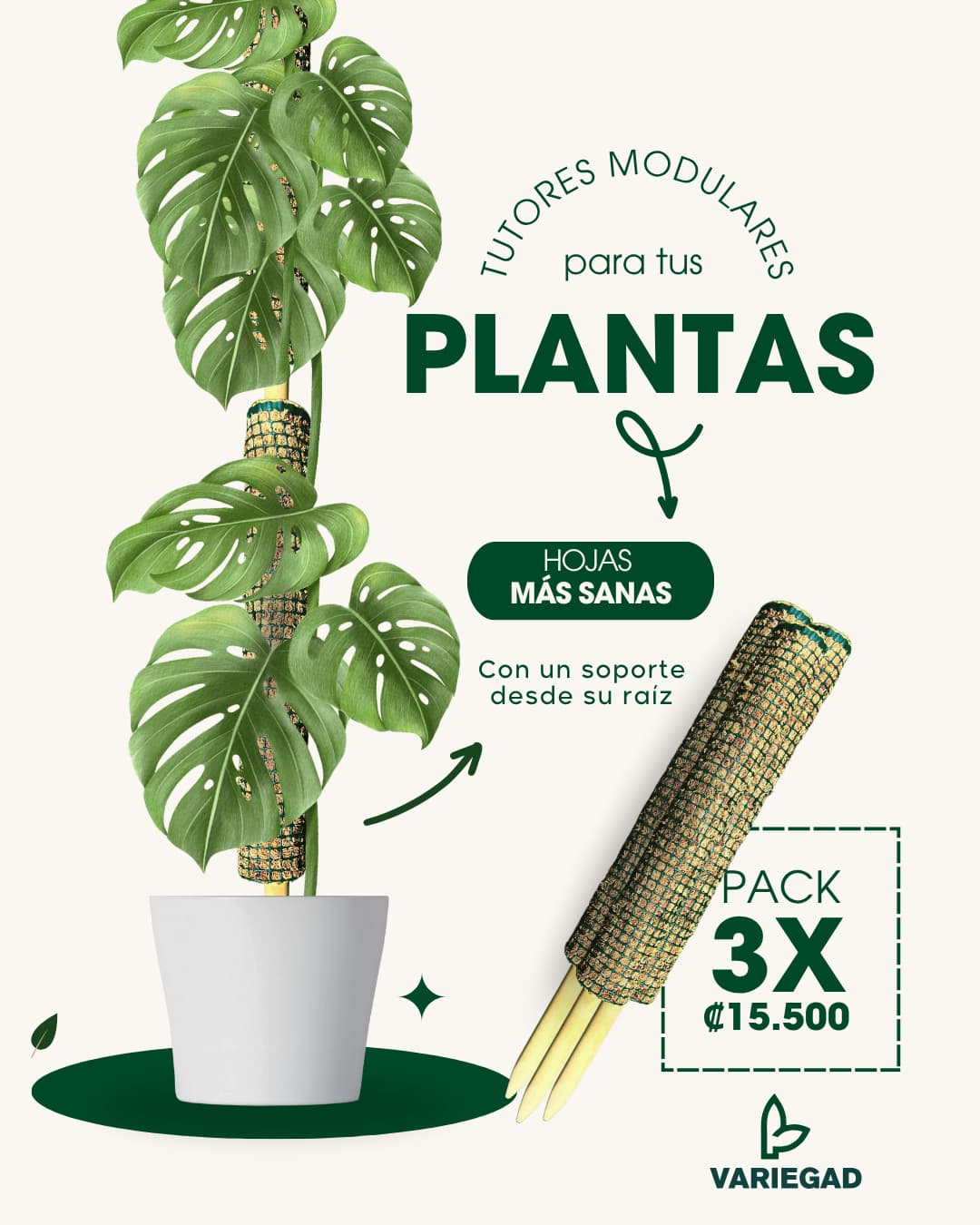 Tutores Modulares