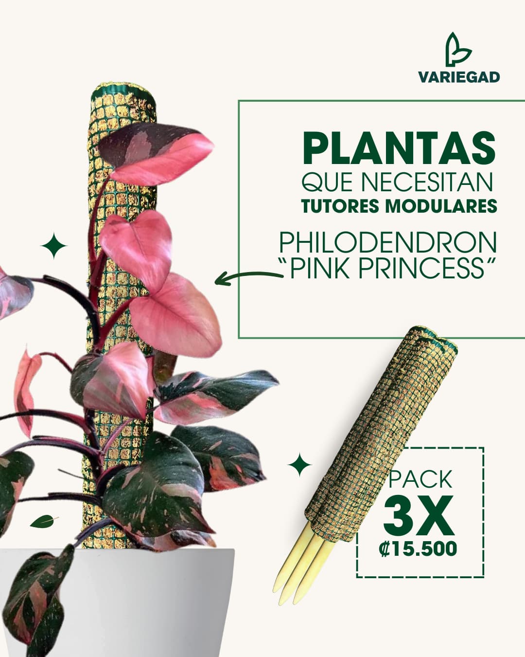 Tutores Modulares