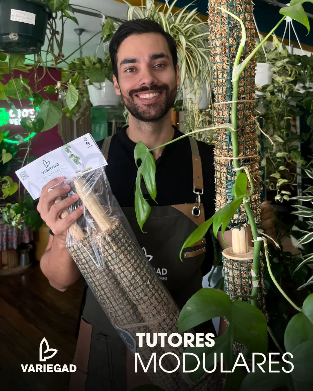Tutores Modulares