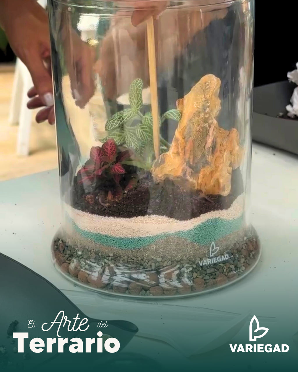 Taller - Santa Ana - Casa Negra - Sábado 25 de Octubre