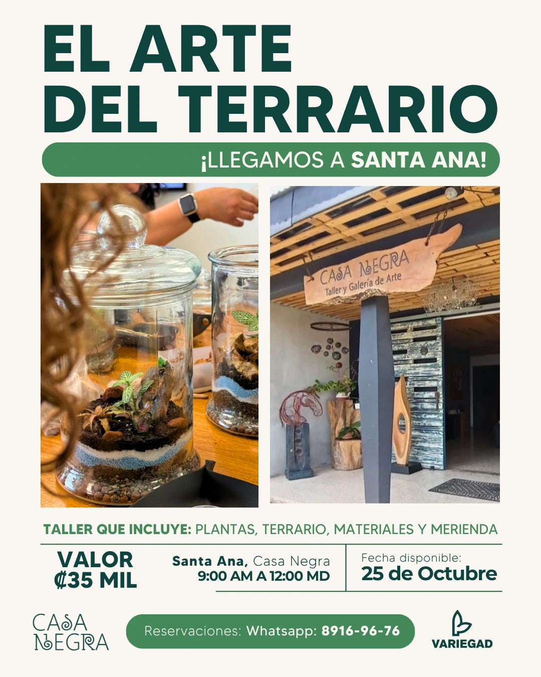 Taller - Santa Ana - Casa Negra - Sábado 25 de Octubre