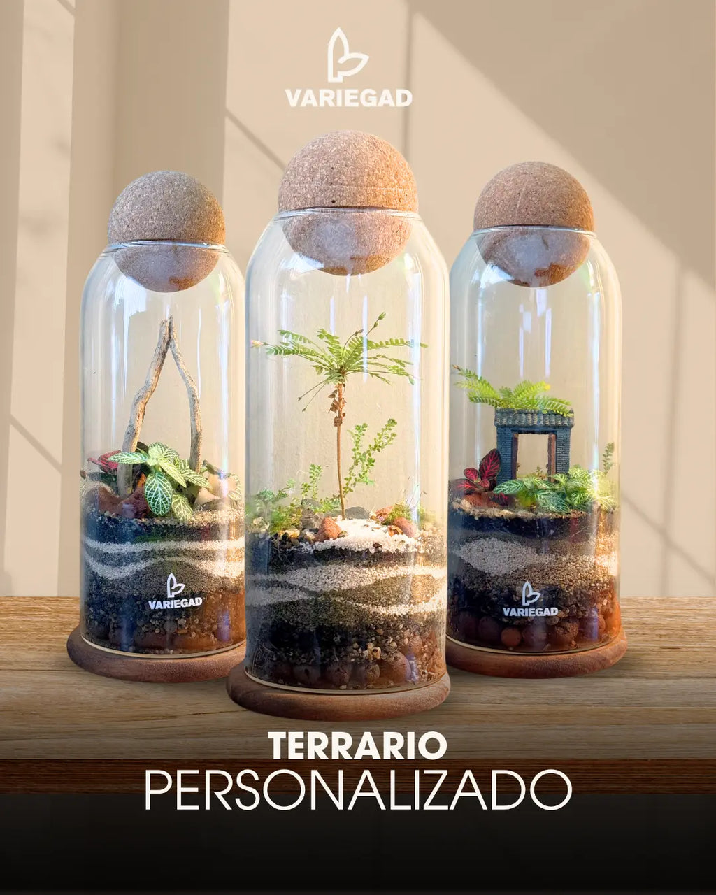 Terrario Personalizado