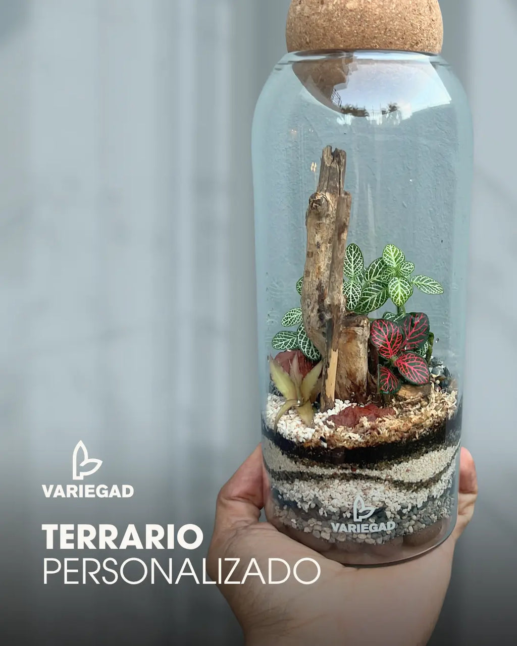 Terrario Personalizado